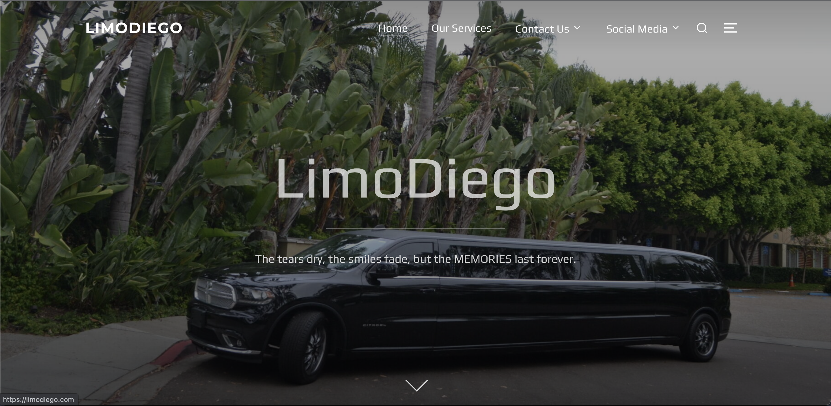 pic of home page